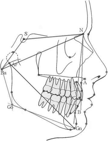 Fig. 2