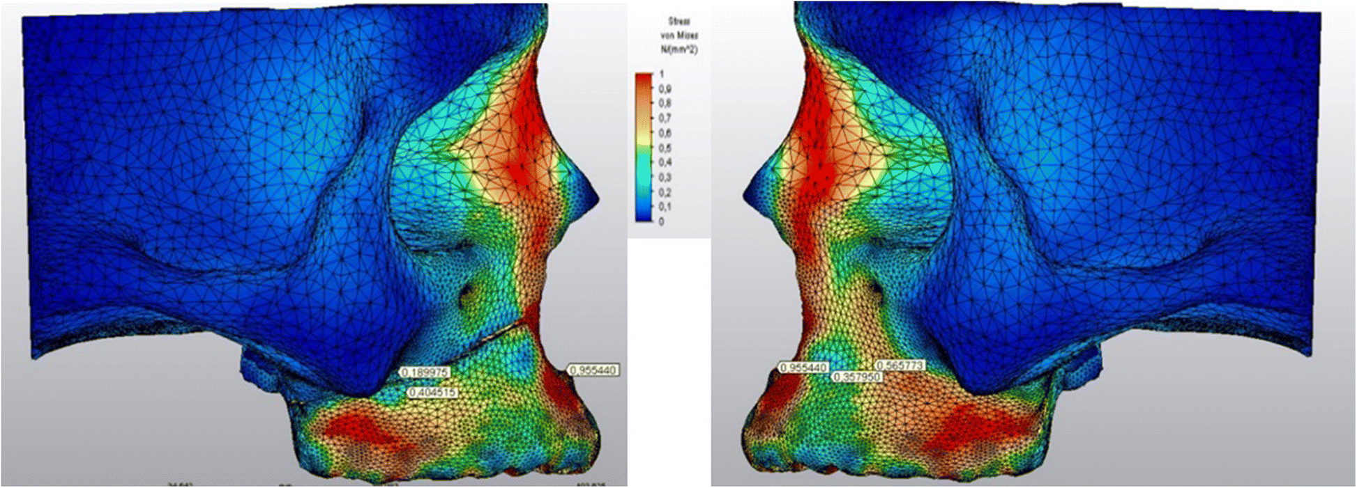 Fig. 7