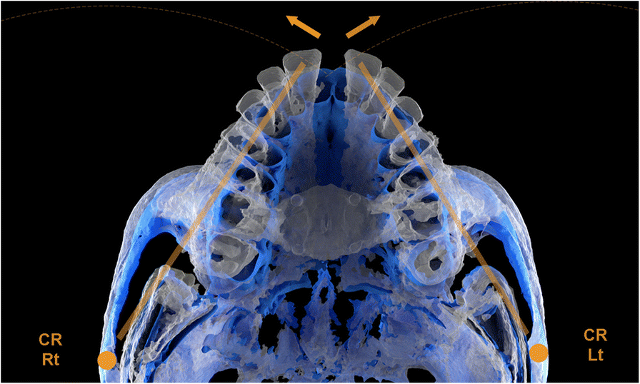 Fig. 7