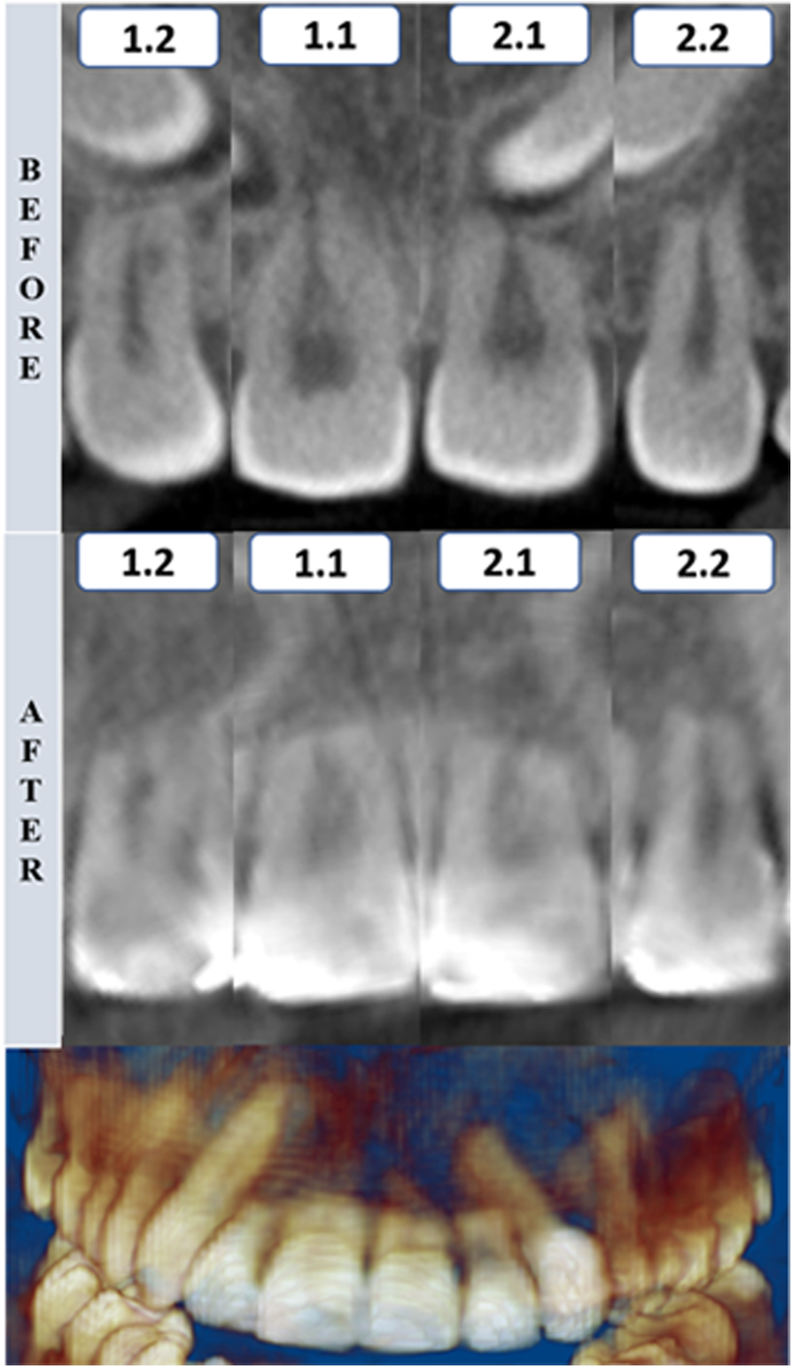 Fig. 7