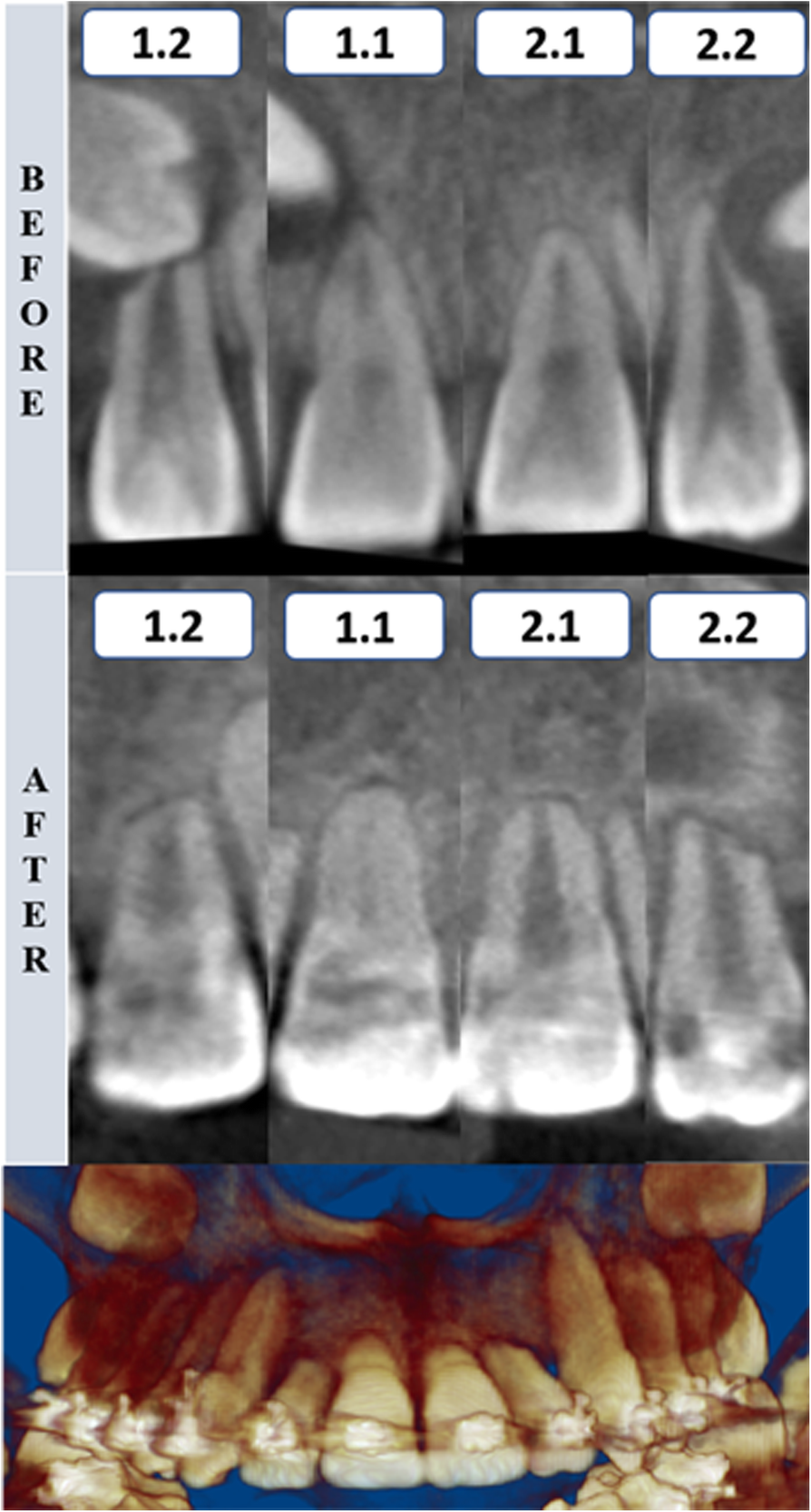 Fig. 8