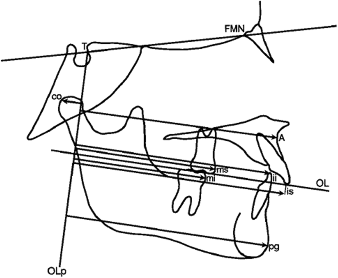 Fig. 2