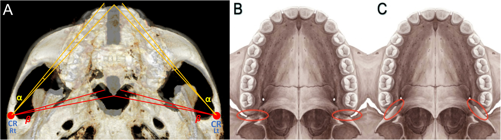 Fig. 10