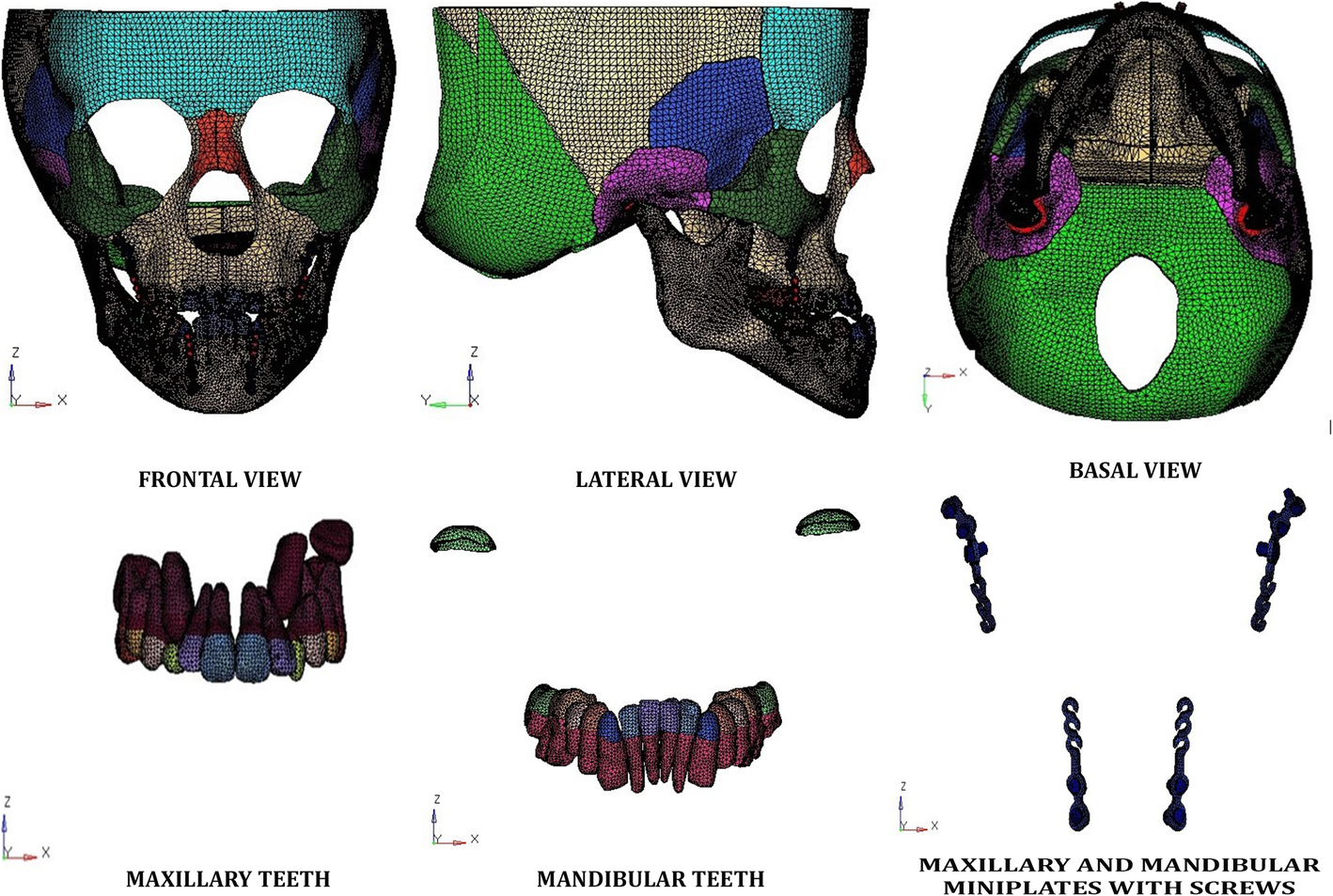 Fig. 2