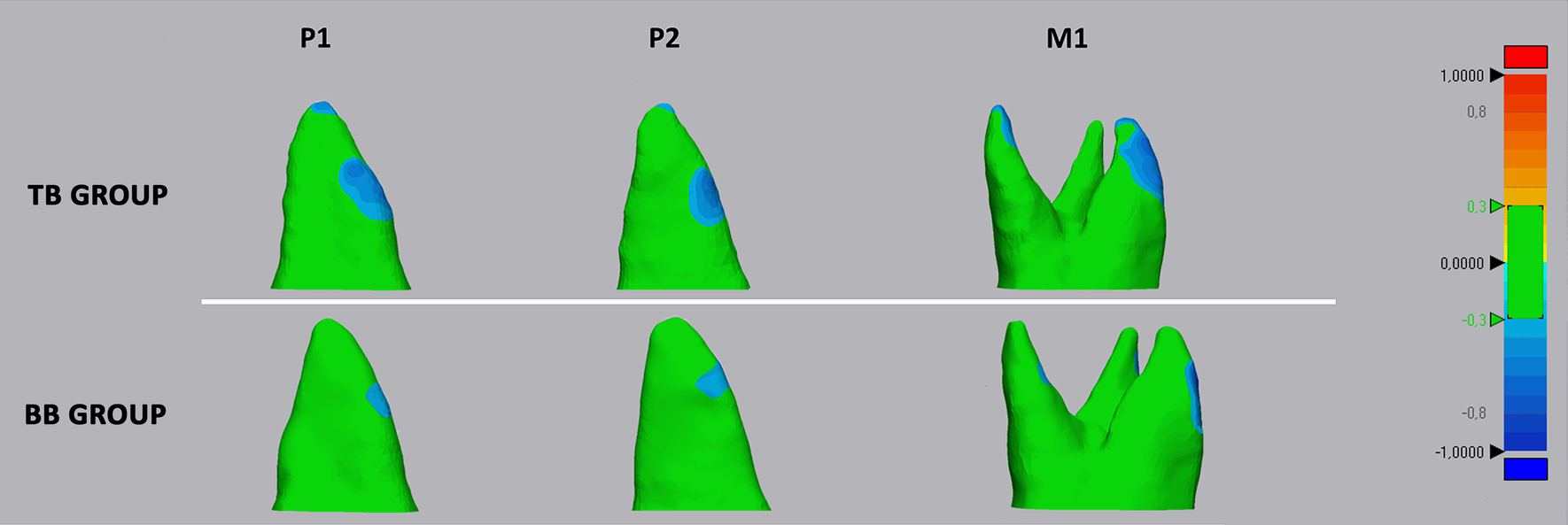 Fig. 5