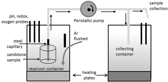 Fig. 1