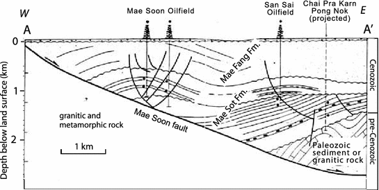 Fig. 5