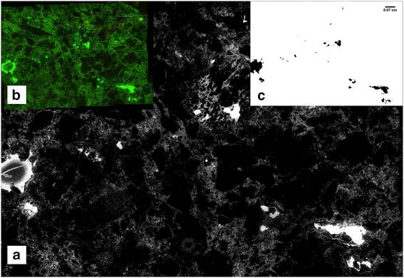 Fig. 3