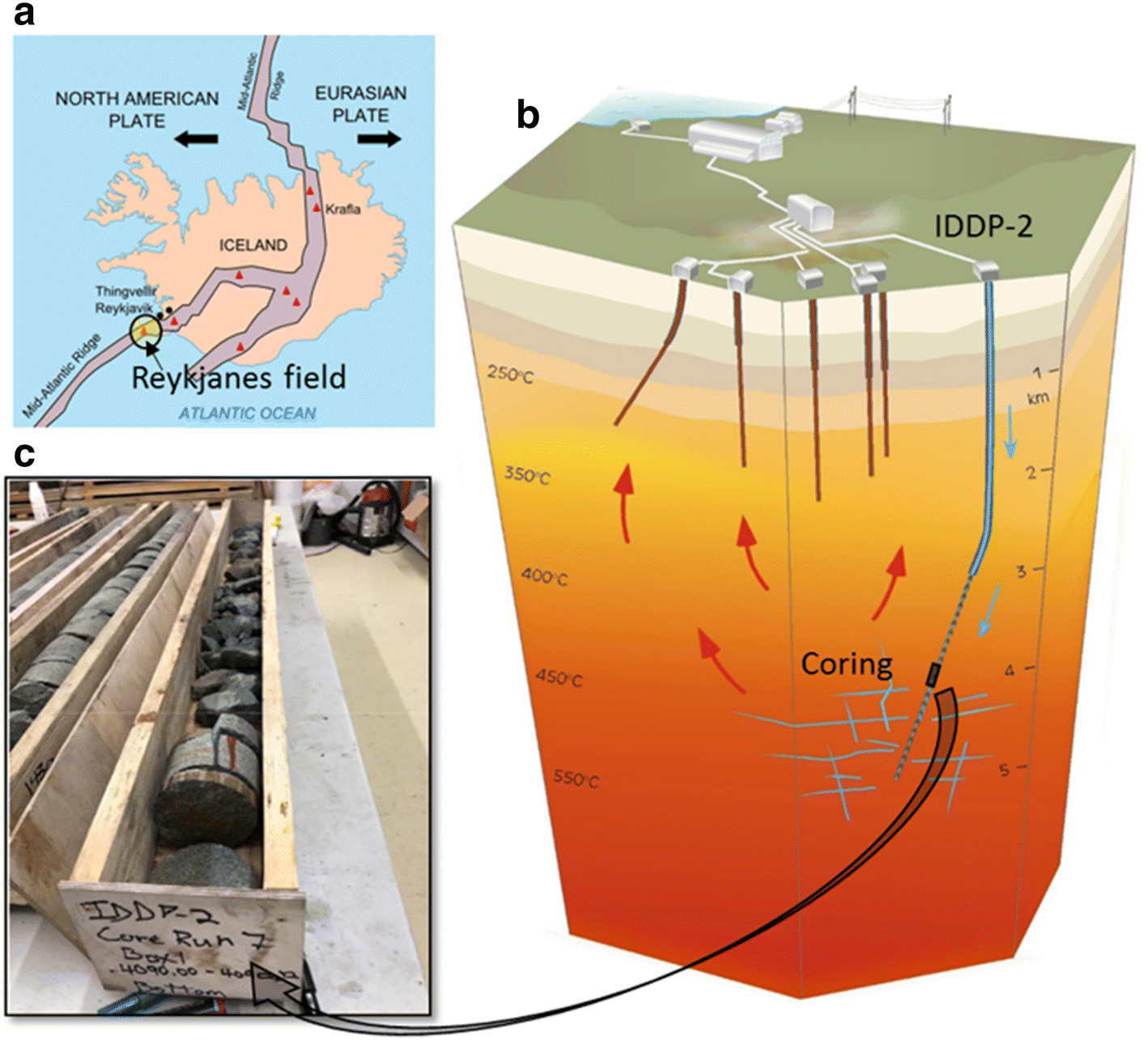 Fig. 1