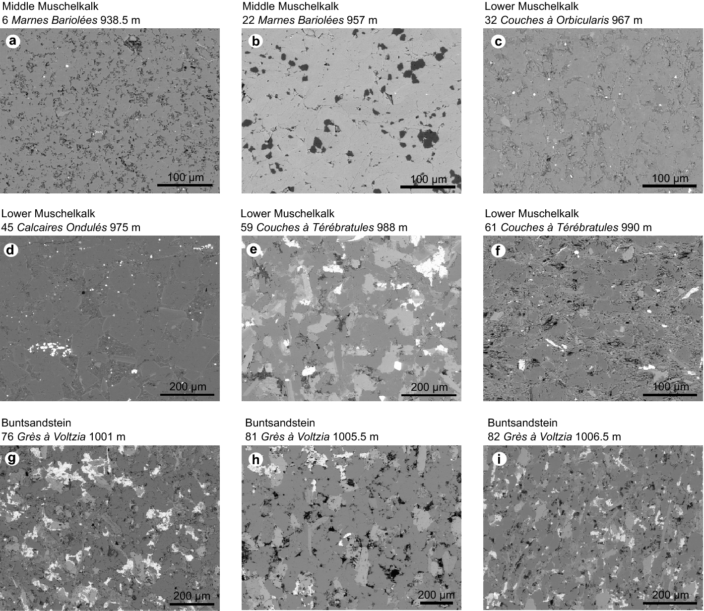 Moist Hick Ecology Petrophysical properties of the Muschelkalk from the Soultz-sous-Forêts geothermal site (France), an important lithostratigraphic unit for geothermal exploitation in the Upper Rhine Graben | Geothermal Energy | Full Text Moist Hick Ecology Petrophysical properties of the Muschelkalk from the Soultz-sous-Forêts geothermal site (France), an important lithostratigraphic unit for geothermal exploitation in the Upper Rhine Graben | Geothermal Energy | Full Text