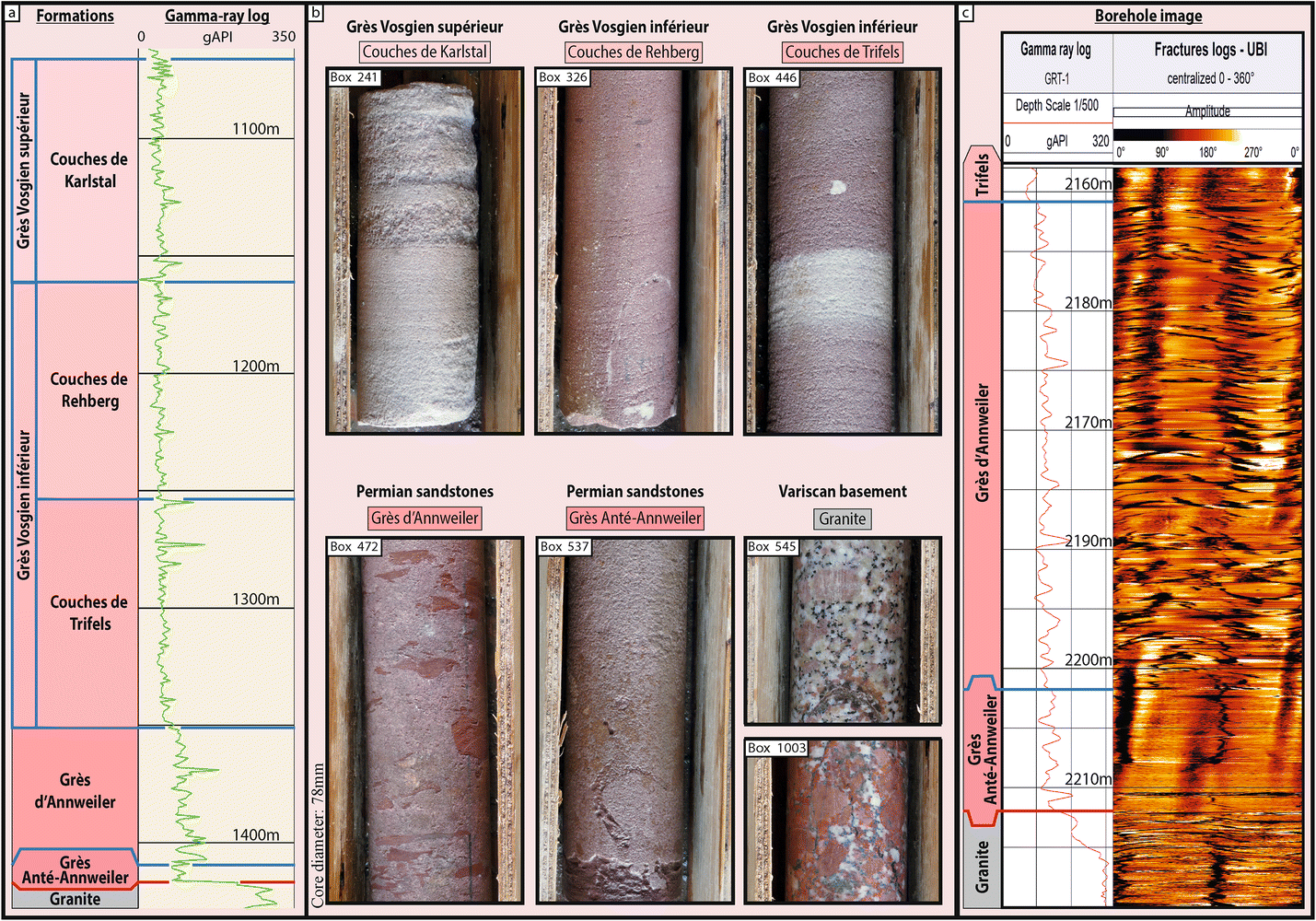 Fig. 7