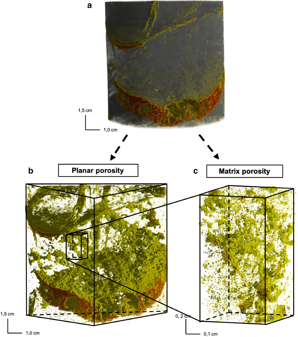 Fig. 9