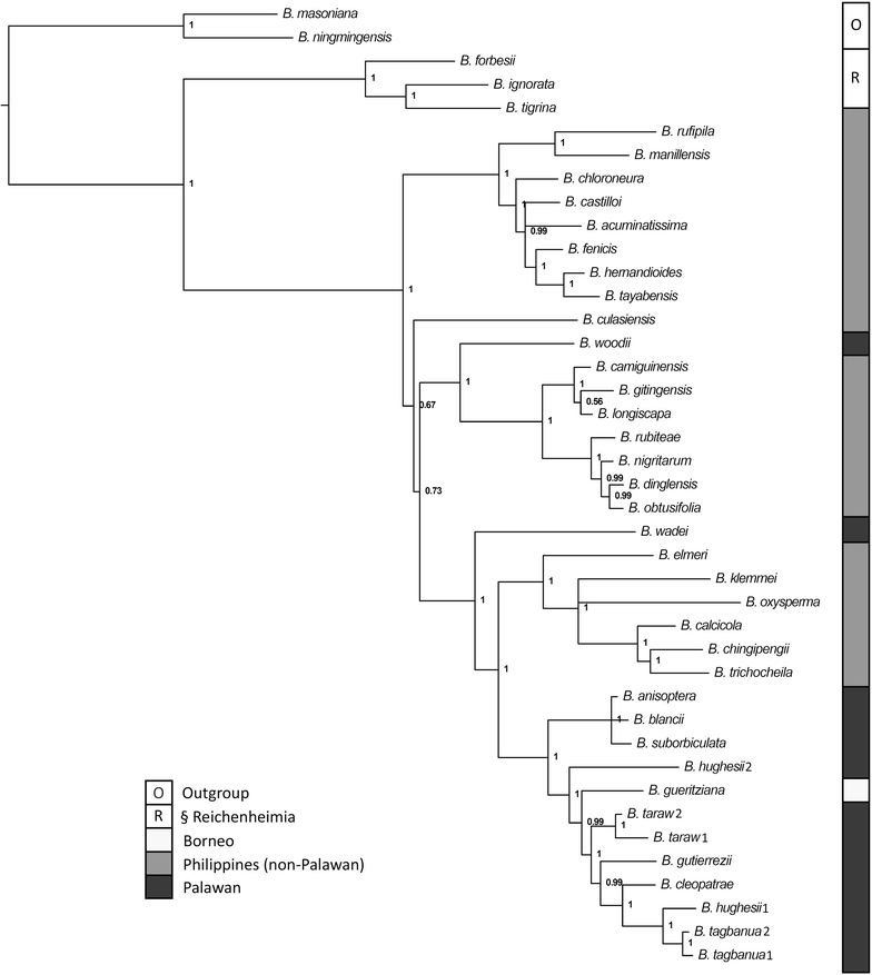 Figure 3