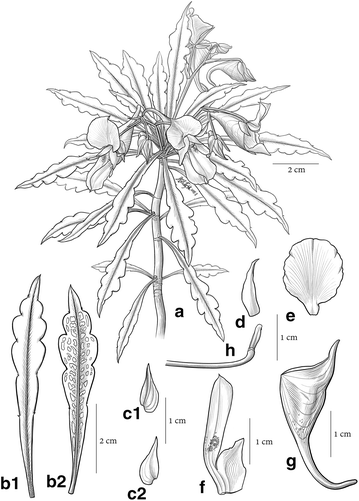 Fig. 1