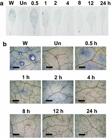 Fig. 2