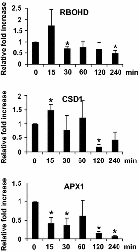 Fig. 4