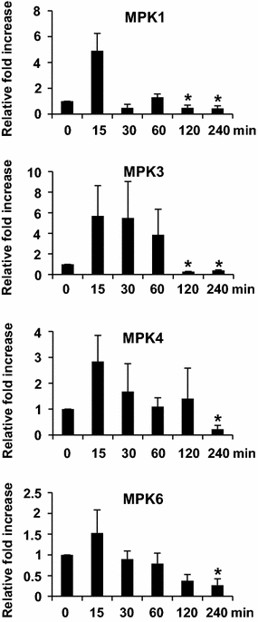 Fig. 7