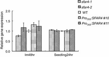 Fig. 4