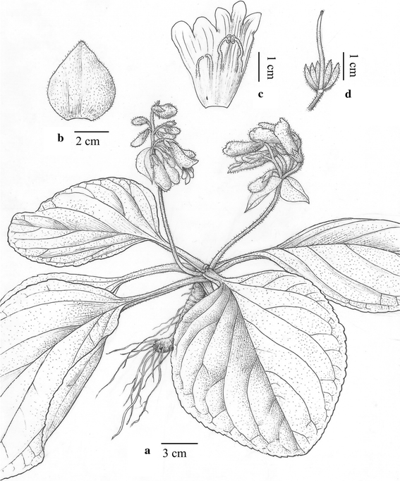 Fig. 5