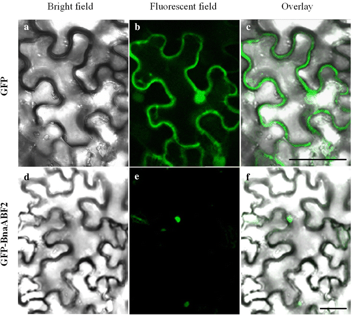 Fig. 7