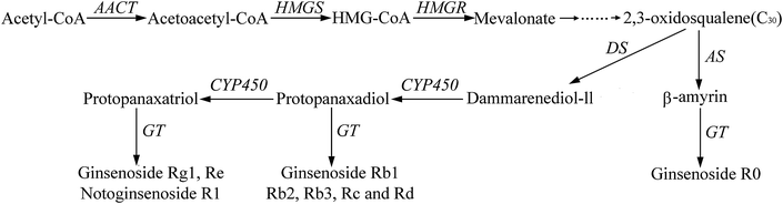 Fig. 3