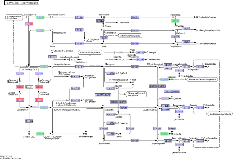 Fig. 5