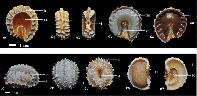 Figs. 60–69