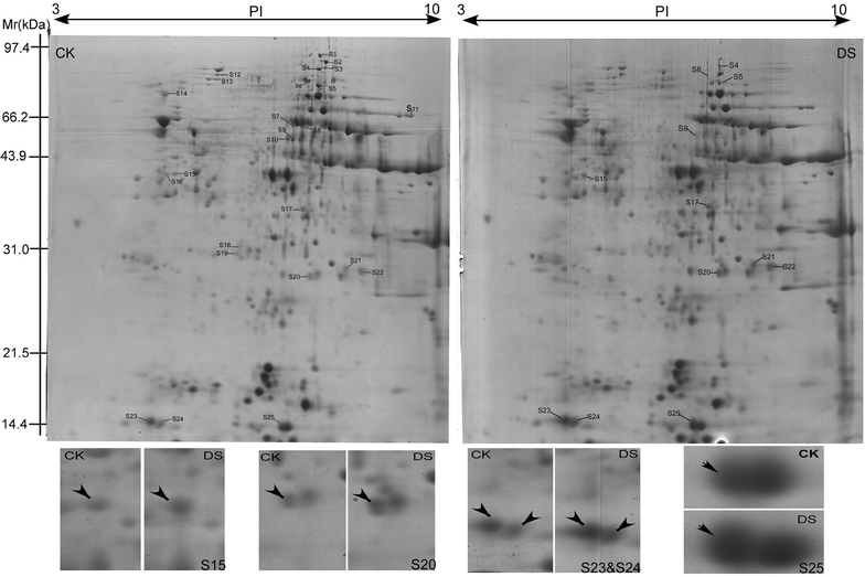 Fig. 4