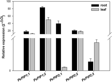 Fig. 1