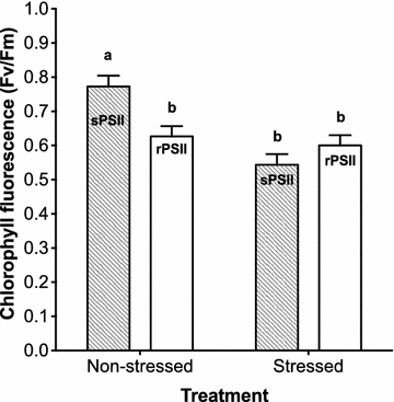 Fig. 6