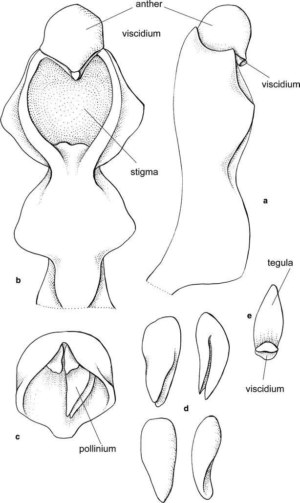 Fig. 12