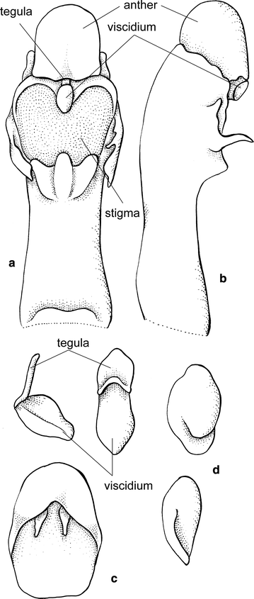 Fig. 18