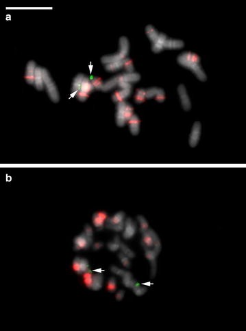 Fig. 4