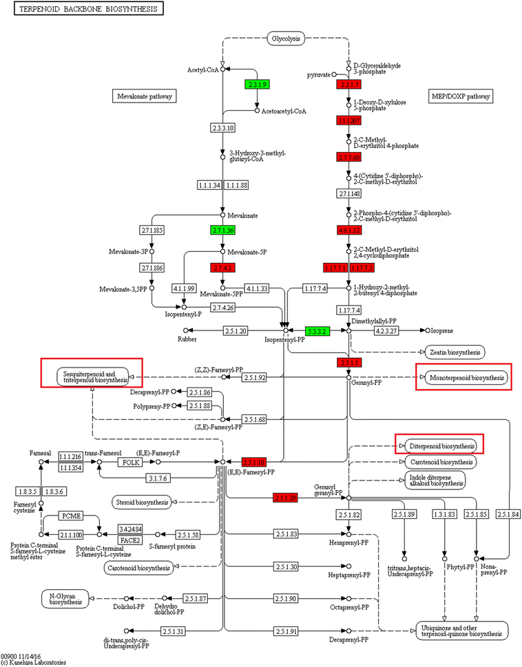 Fig. 4