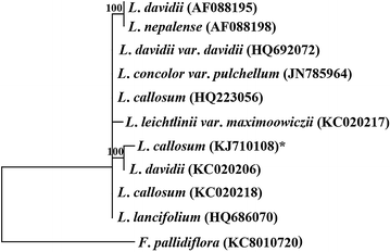 Fig. 5