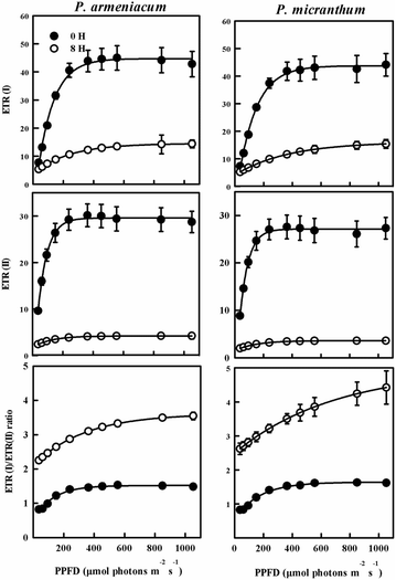 Fig. 10