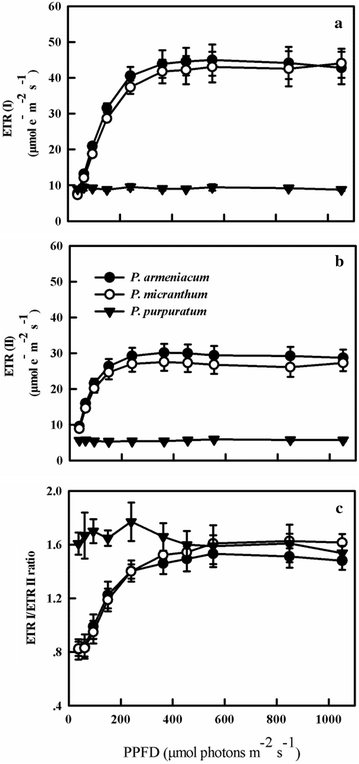 Fig. 9