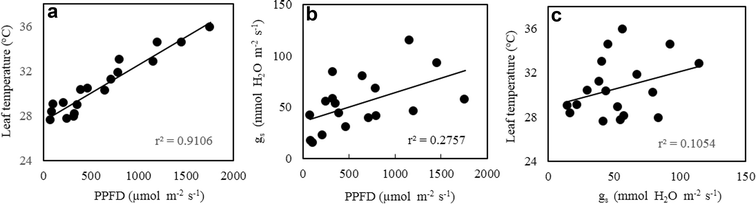 Fig. 7