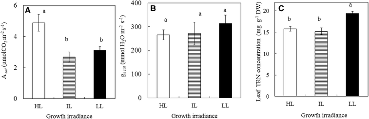 Fig. 8