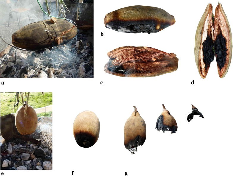 Fig. 2