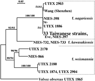 Fig. 3