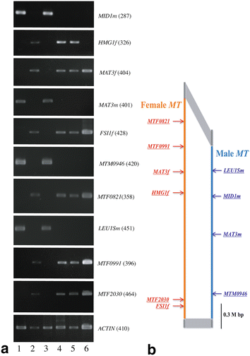 Fig. 4