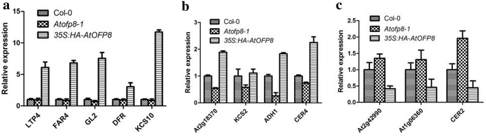 Fig. 6