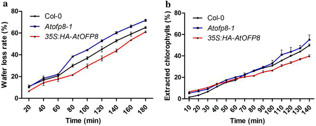 Fig. 7