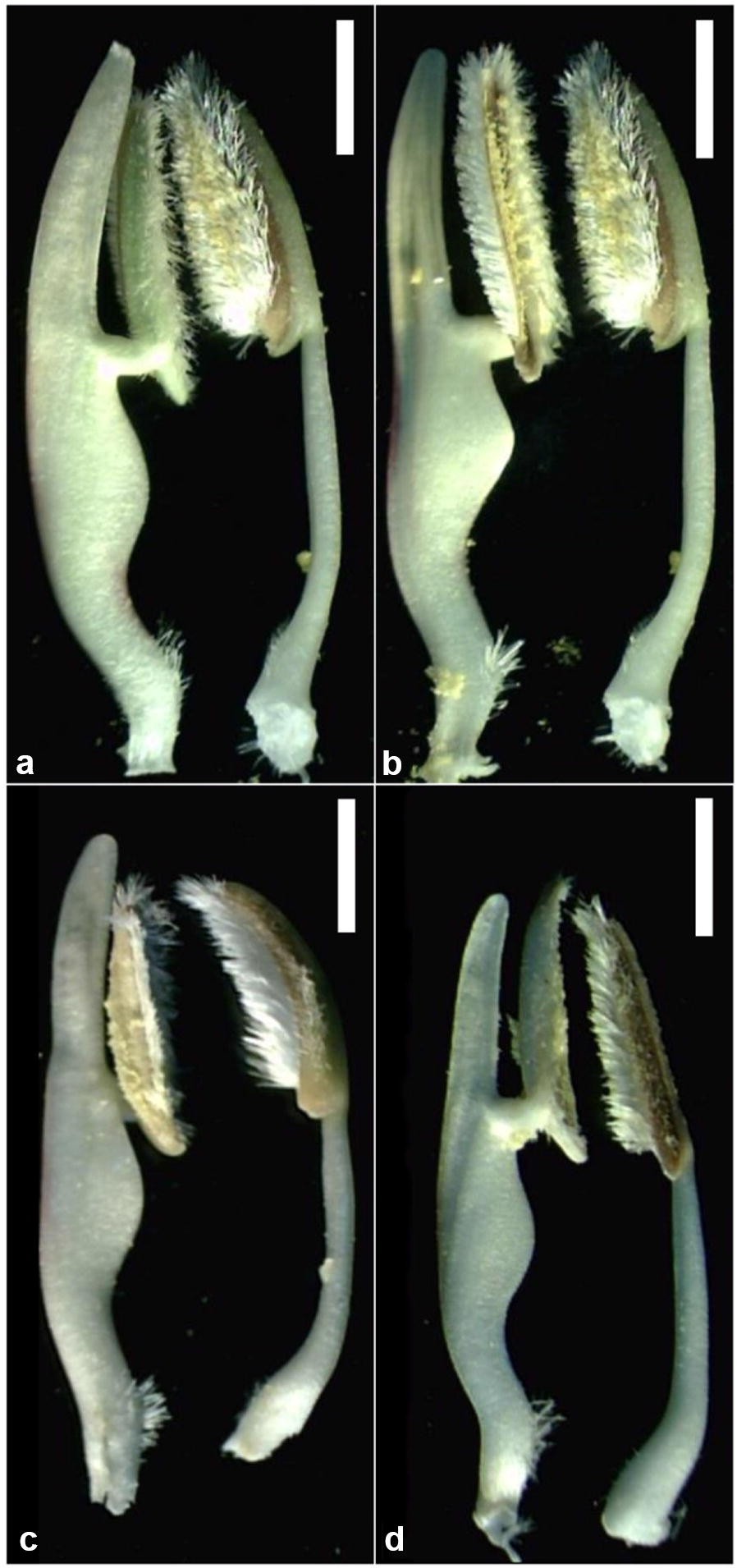 Fig. 4