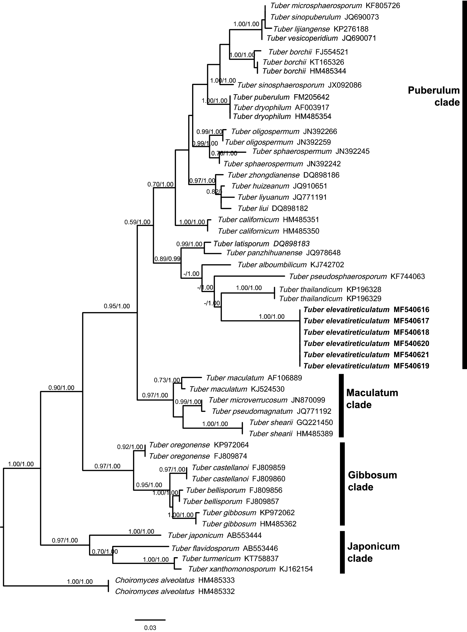 Fig. 2