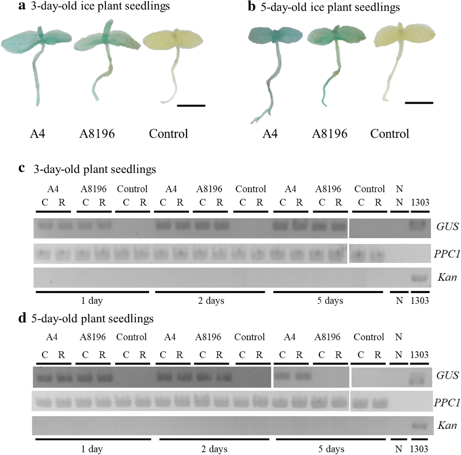 Fig. 3