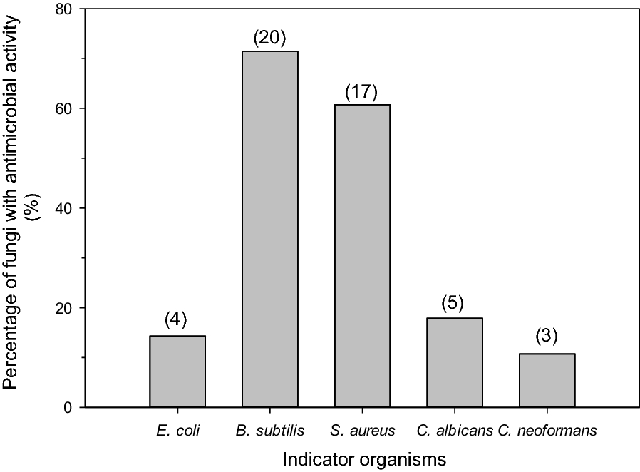 Fig. 2