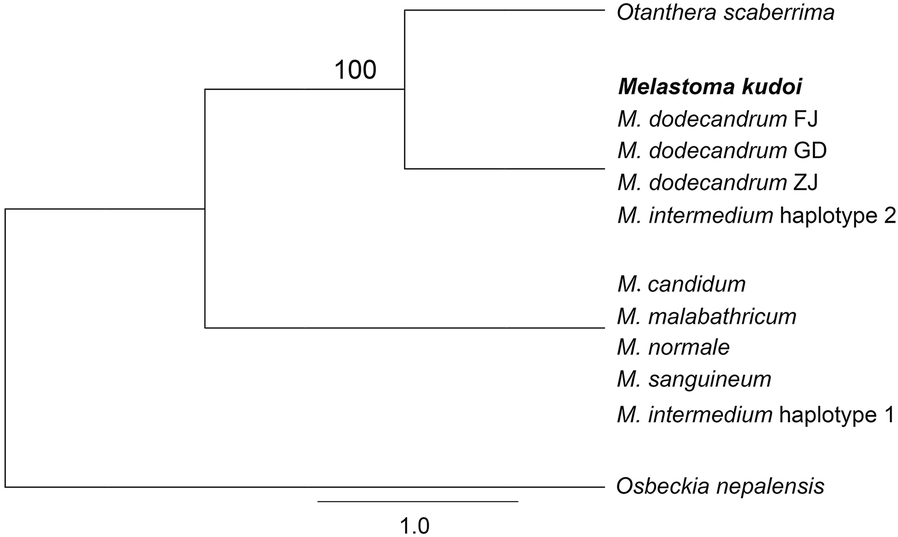 Fig. 3