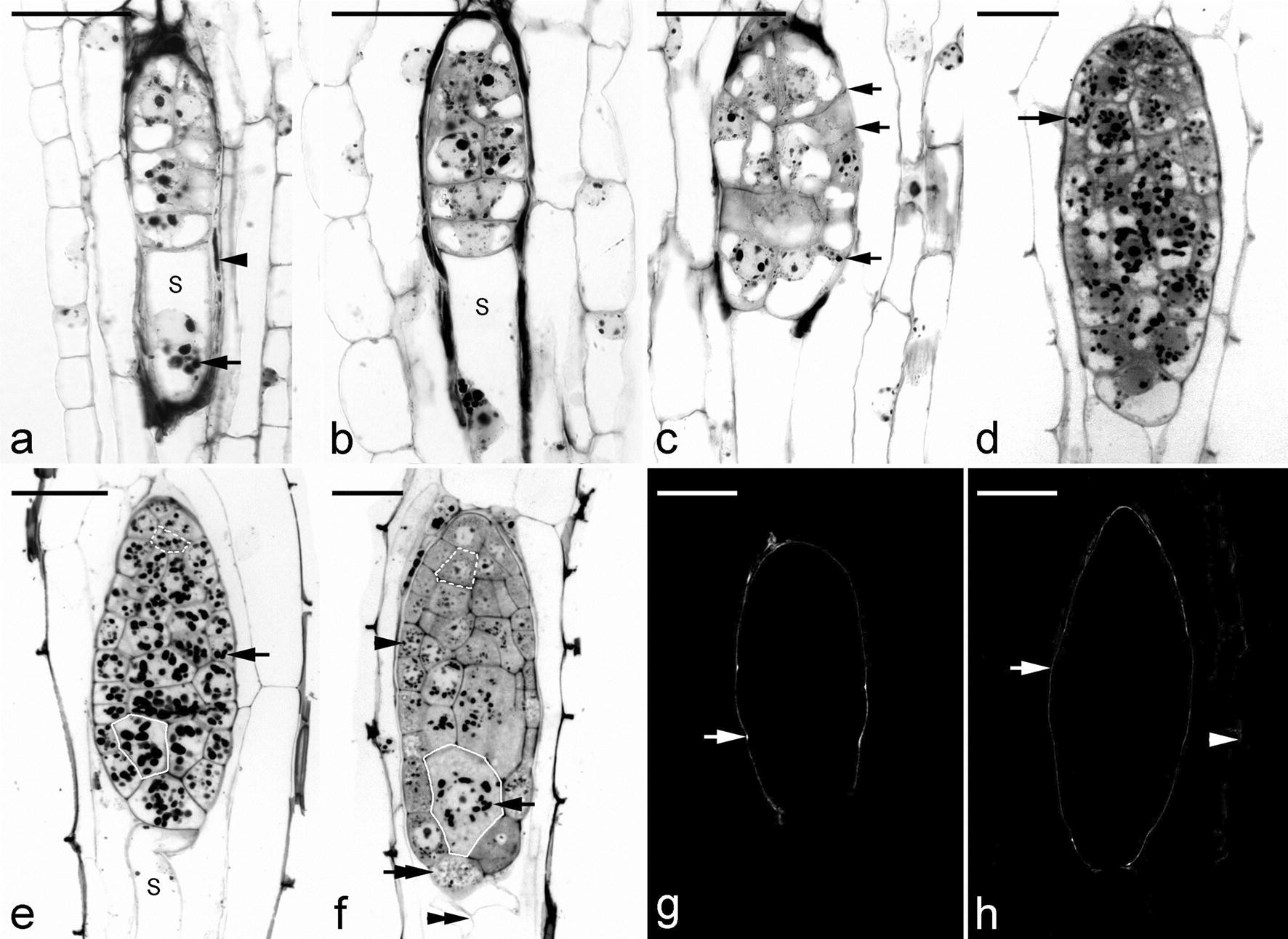 Fig. 5